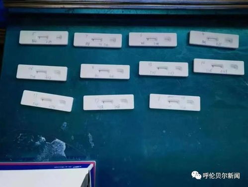 海拉爾地區(qū)首批新冠病毒抗原檢測(cè)試劑投入使用 新冠篩查再添新利器