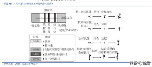 萬(wàn)泰生物研究報(bào)告 公司綜合實(shí)力強(qiáng)勁,hpv疫苗驅(qū)動(dòng)高速增長(zhǎng)